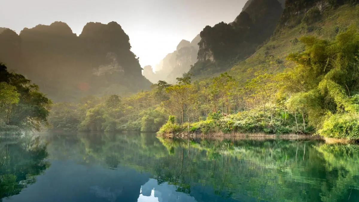 可靠性电子独特